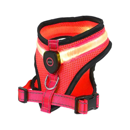 LED Light Dog Harness